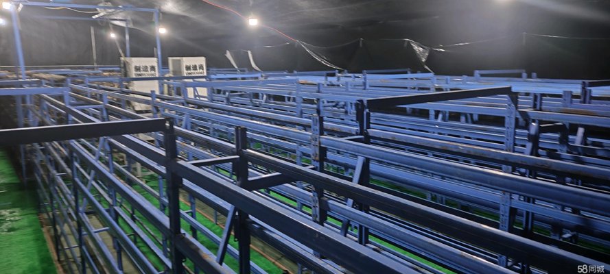 苏州货架安装市场的最新趋势与创新